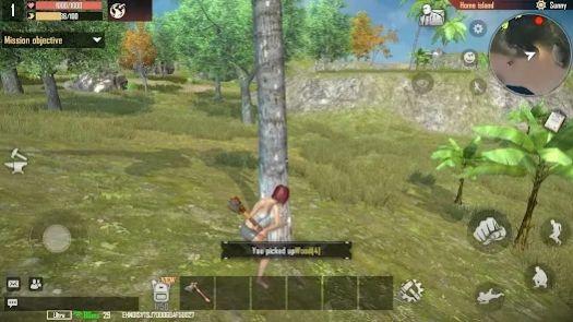 岛屿计划游戏 v4.3.2