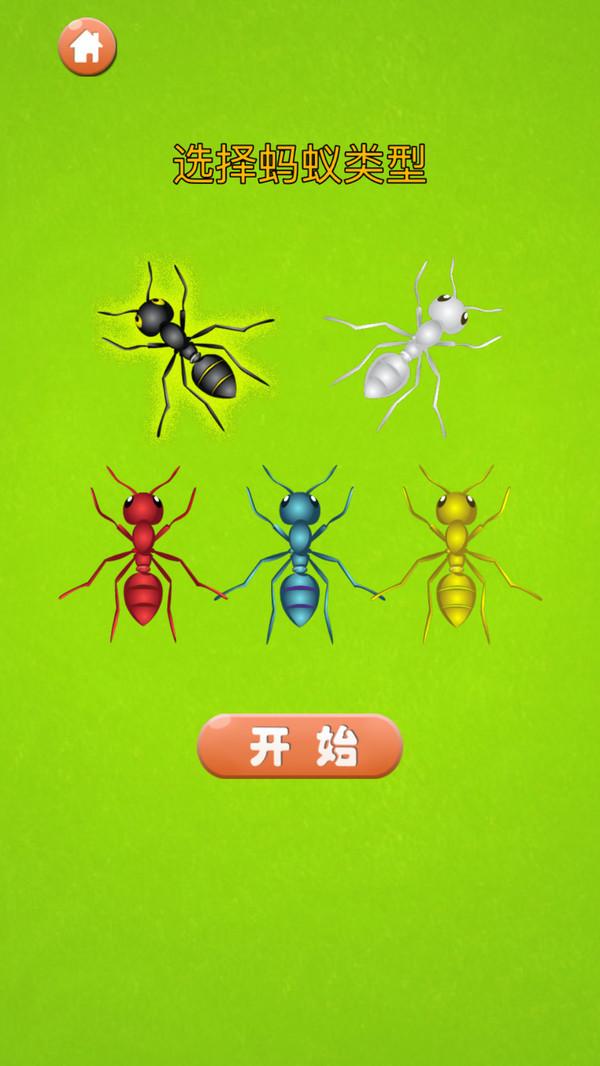 蚂蚁大战手机版 v3.4.1