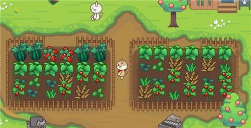 森林浴场官方版 v3.2.1