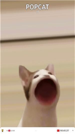 popcat音乐世界 v3.3.3