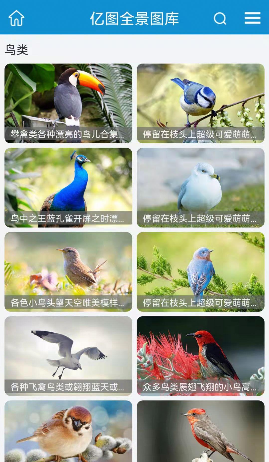 亿图手机版免费版下载