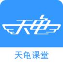 天龟课堂