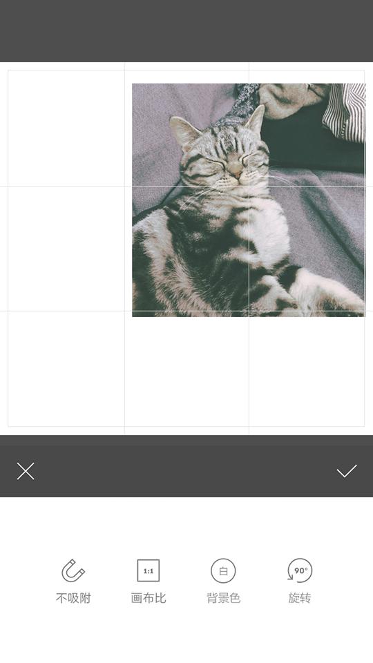 黄油相机最新版