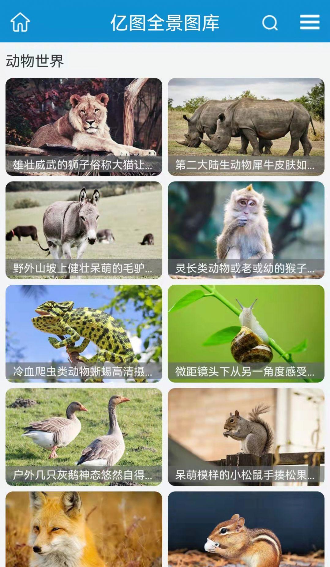 亿图手机版免费版下载