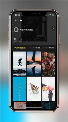 纸塘壁纸vip版 v4.3.3