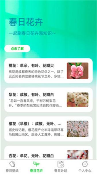 春光轻刷 v3.1.2