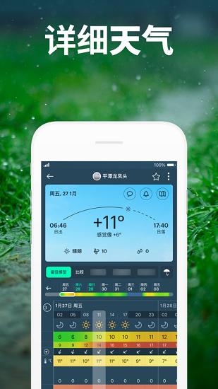 Windy气象