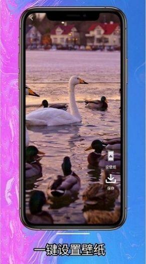 简约壁纸 v3.4.3