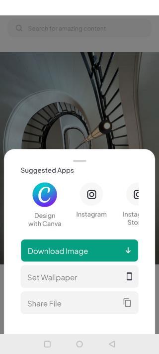 pexels视频素材安卓版