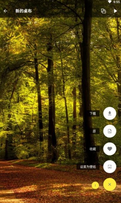 爱彩壁纸 v6.2.4