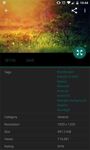 wallhaven汉化版 v3.2.2