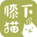 膝下猫