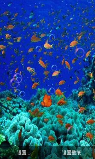 海底动态壁纸手机壁纸 v6.2.2