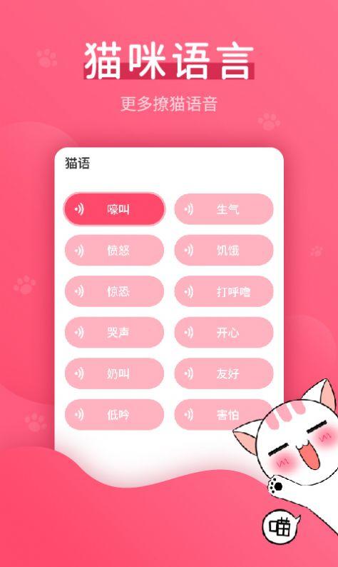 赢动猫语翻译器 v4.5.2