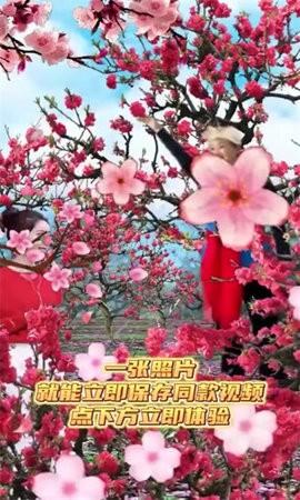 魔力音乐相册 魔力音乐相册