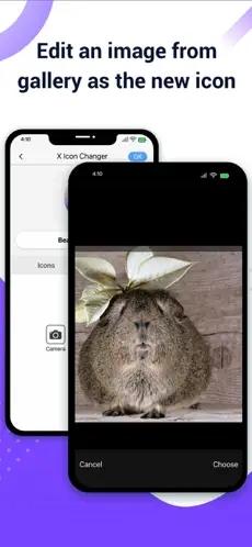 xiconchanger汉化版 v6.5.2