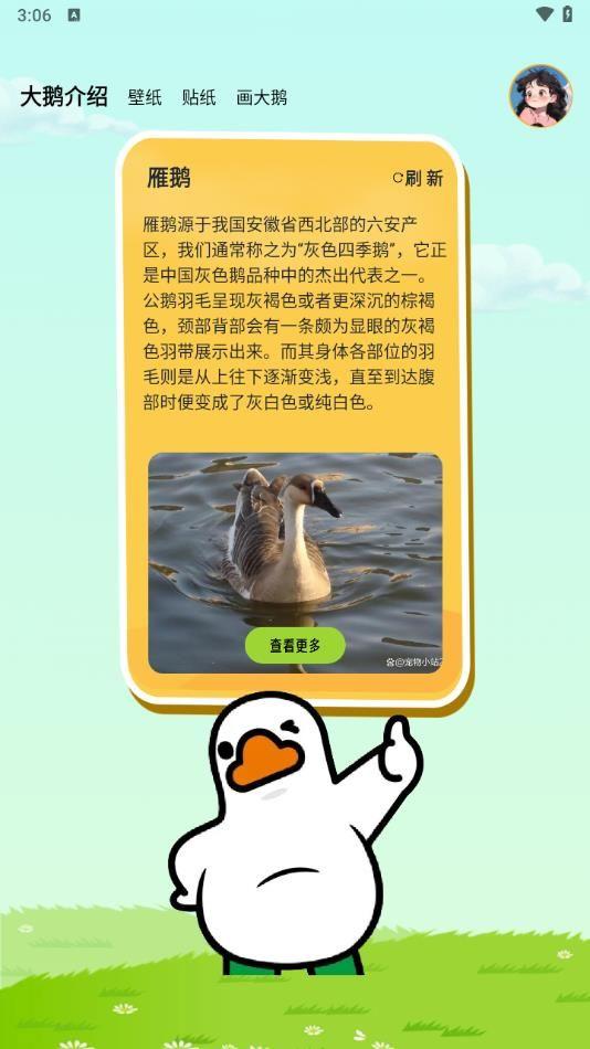 抓了个大鹅 v6.0.3