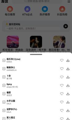 DX云音乐2024最新版 1