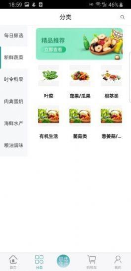 极家鲸选 v3.5.4