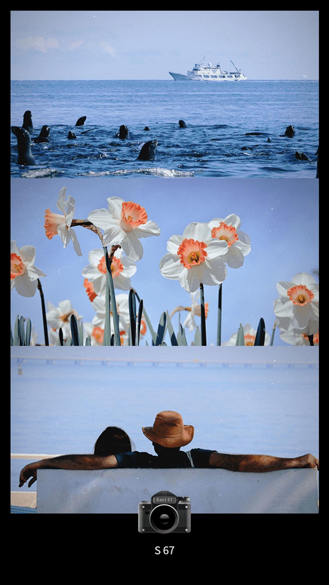 Dazz CCD相机 Dazz CCD相机