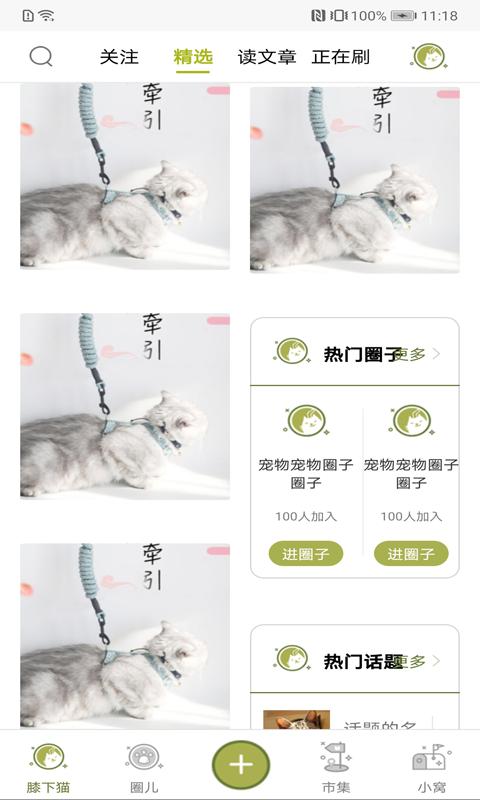 膝下猫 v3.0.3