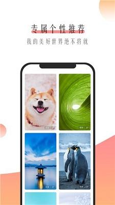 米柚壁纸 v4.0.2