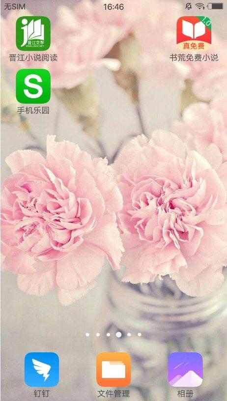 小丑壁纸 v6.3.4