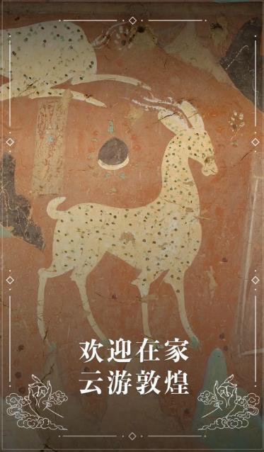 云游敦煌 v4.2.1