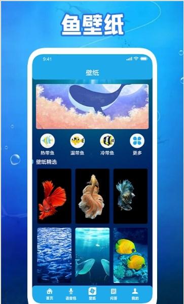 养鱼小高手 v4.0.2