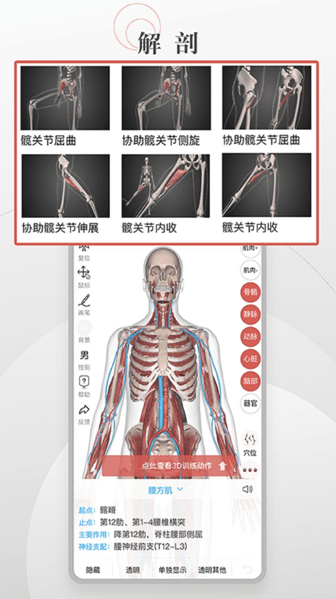 3D运动健康管理 v4.2.2