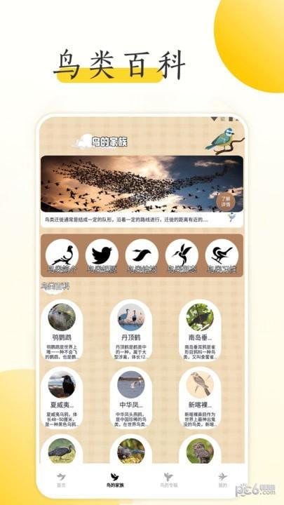 小鸟壁纸大全 v3.5.3