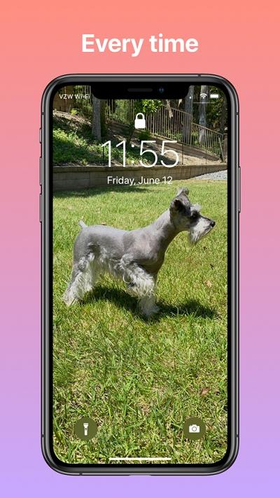 Lockne壁纸 v6.2.4