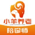 小羊养老陪诊师