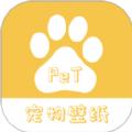 桌面宠物壁纸