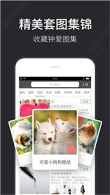 壁纸多多小助手 v6.2.4