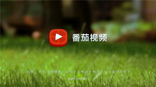 番茄视频29 v6.1.1