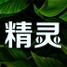 精灵之泉