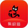集极猫