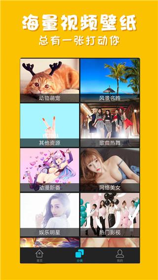 彩蛋视频壁纸安卓版 v4.5.4