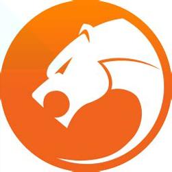 猎豹浏览器极速版官方版