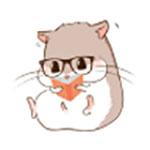 仓鼠阅读