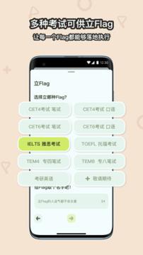 Flaget v3.5.3