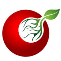 番茄接码