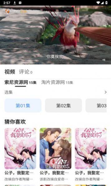 第九电影最新电视剧免费下载 v3.1.26 v5.5.3