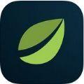 Bitfinex离岸加密货币交易所app手机版 v1.0