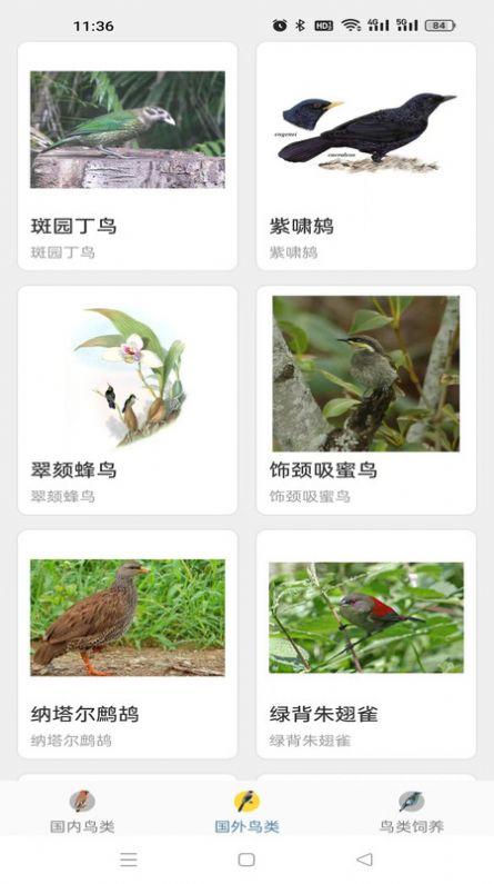 鸭鸭的世界百科软件下载 v1.8.6 v5.4.4