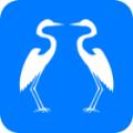 白鹭转app手机版 v1.0.0