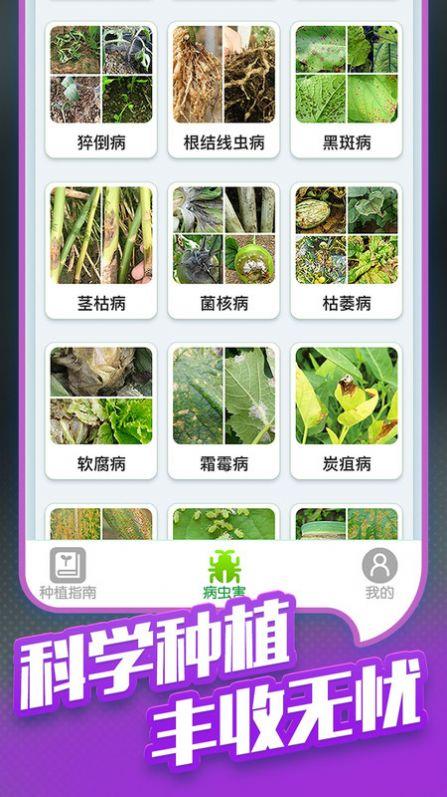 种菜专业户手机版下载 v1.0 v5.5.4