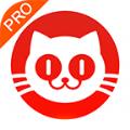猫眼专业版app下载安装官方版 v7.2.1