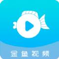 金鱼视频下载追剧最新版本 v3.3.6